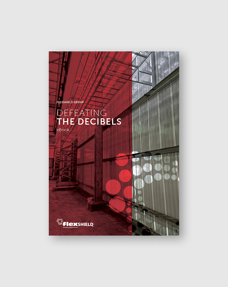 A photo of the cover of the Defeating the Decibels eBook